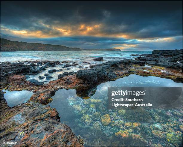 dawn light at cape schanck, mornington peninsular, victoria. - gezeitentümpel stock-fotos und bilder