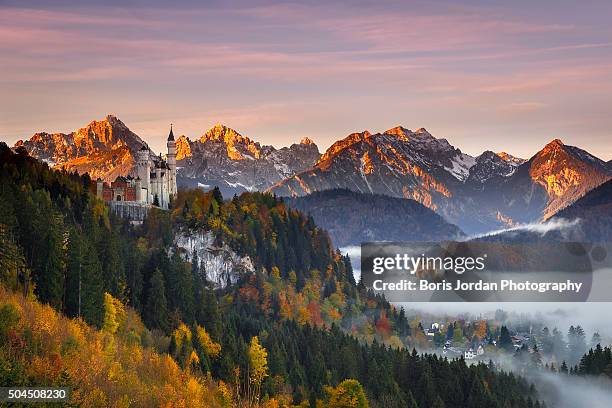 guardian of schwangau - castle photos et images de collection