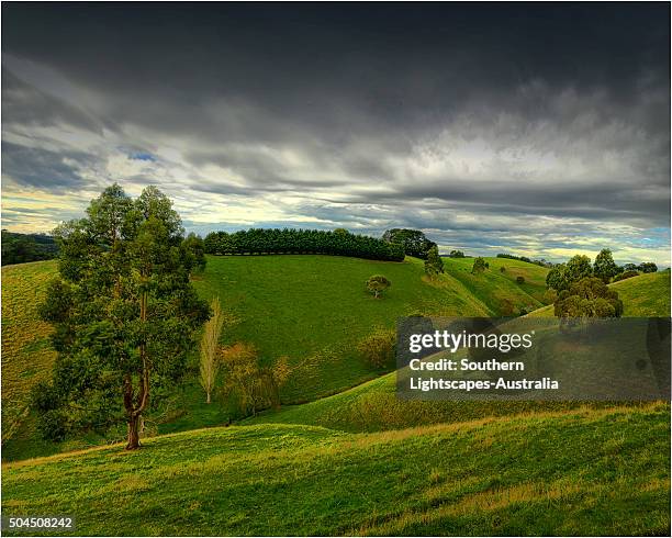 Dumbalk 102 Dumbalk Victoria Stock Photos, High-Res Pictures, and Images ...