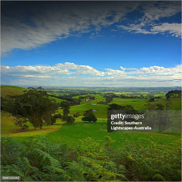 Dumbalk 102 Dumbalk Victoria Stock Photos, High-Res Pictures, and Images ...