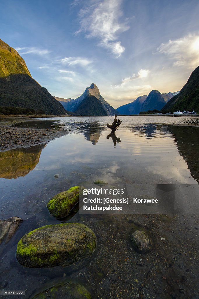 Milford sound in the morning