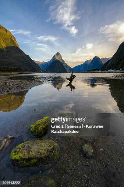 milford sound in the morning - zealand ストックフォトと画像