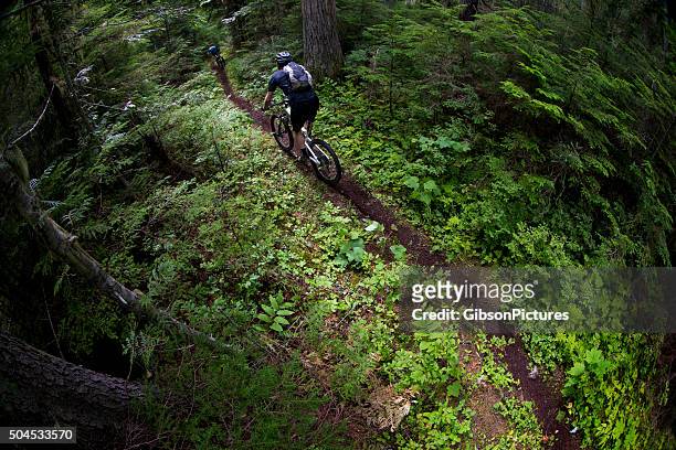 mountain bike racers - bike tire tracks stock pictures, royalty-free photos & images