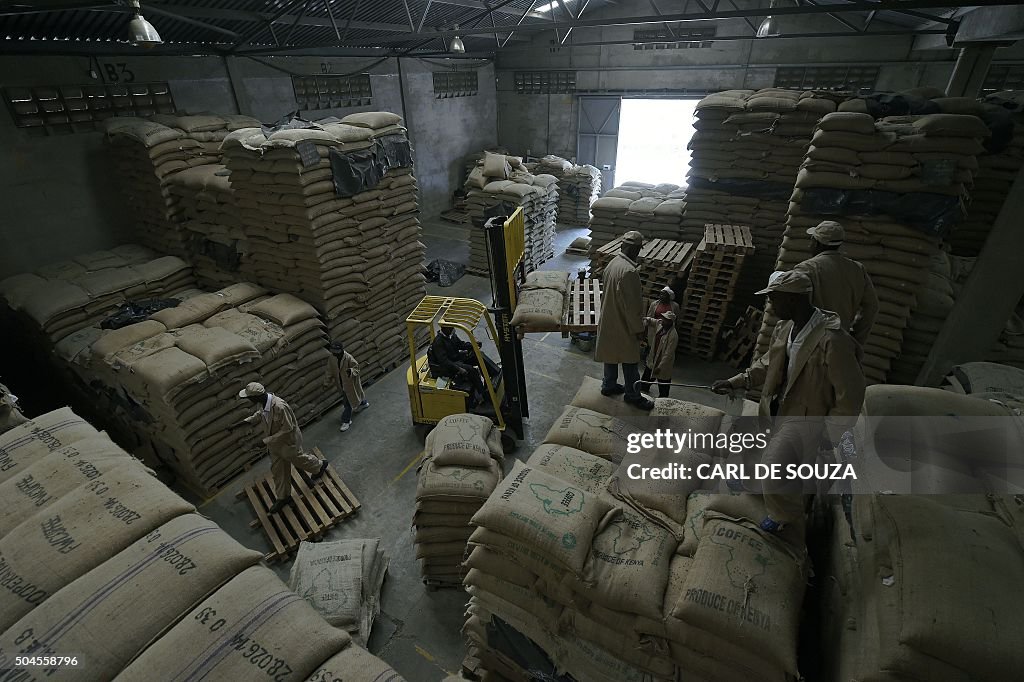 COFFEE-BUSINESS-KENYA-ECONOMY