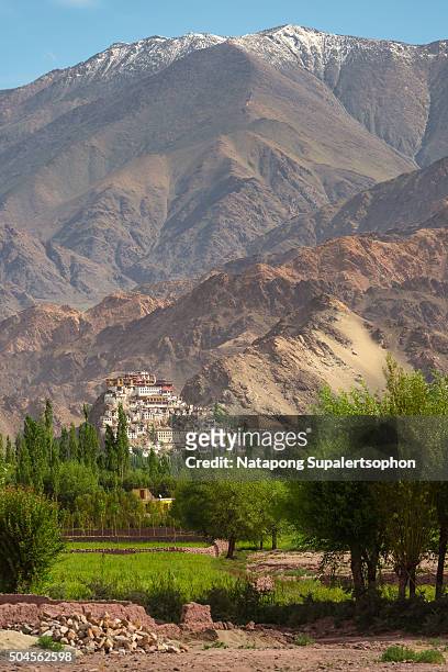 view of thiksey monastery leh ladakh - thiksey monastery stock pictures, royalty-free photos & images