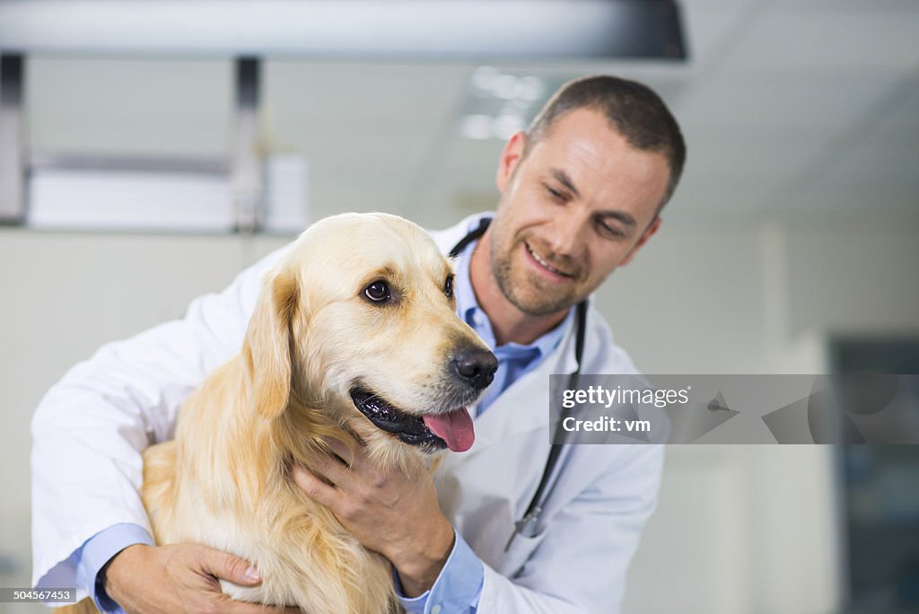 Veterinario esaminando un cane