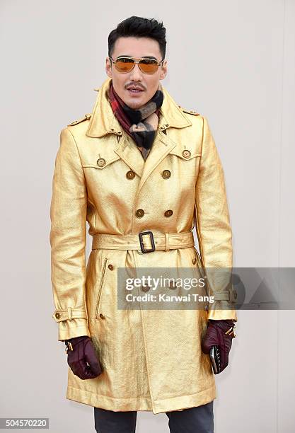 Hu Bing attends the Burberry show during The London Collections Men AW16 at Kensington Gardens on January 11, 2016 in London, England.