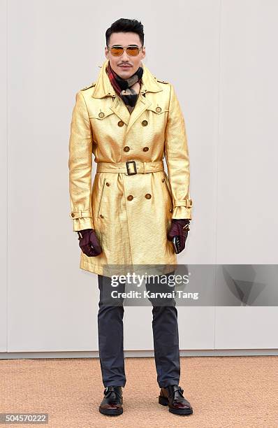 Hu Bing attends the Burberry show during The London Collections Men AW16 at Kensington Gardens on January 11, 2016 in London, England.