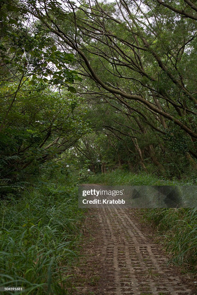 Reservoir Rd., Lamma Island, Hong Kong