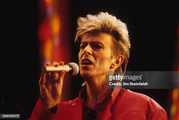 David Bowie performs during the Glass Spider Tour at the St. Paul Civic Center in St. Paul, Minnesota on October 1, 1987.