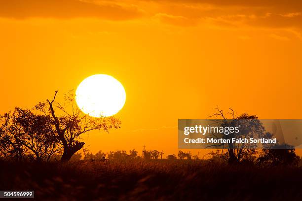 nimmitabel sunset - nimmitabel stock pictures, royalty-free photos & images