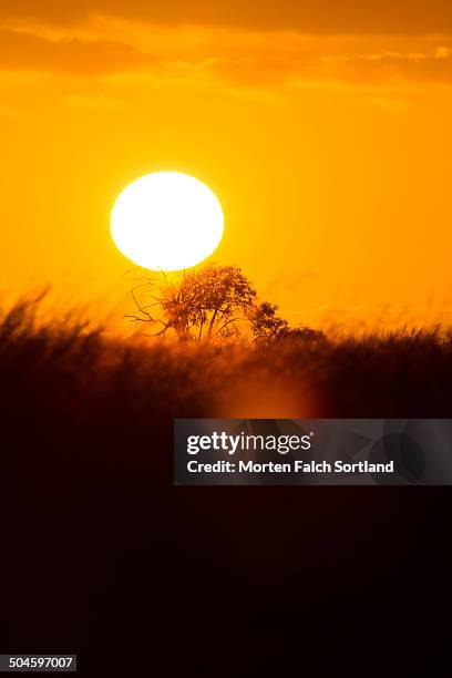 Nimmitabel Map Nimmitabel New South Wales Photos and Premium High Res Pictures - Getty ...