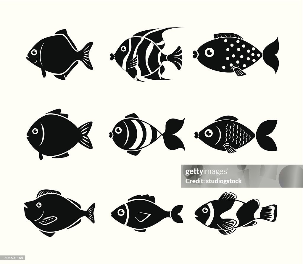 About Fish Design Fish Design High-Res Vector Graphic - Getty Images