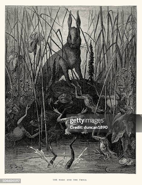 la fontaine's fables - hare and the frogs - jean de la fontaine stock illustrations