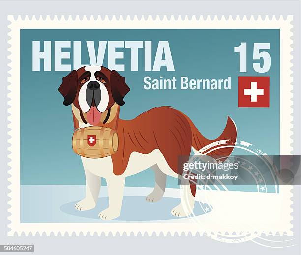 259 Saint Bernard High Res Illustrations - Getty Images | Saint bernard dog, Saint bernard white background, Saint bernard puppy