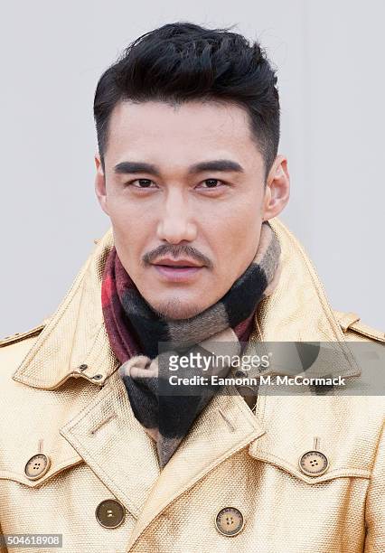 Hu Bing attends the Burberry show during The London Collections Men AW16 at Kensington Gardens on January 11, 2016 in London, England.