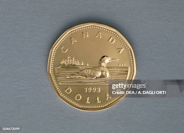 Dollar coin reverse, Great northern loon . Canada, 20th century.