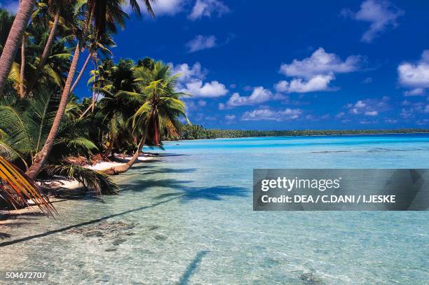 Lagoon, Manihi atoll, Tuamotus, French Polynesia, Overseas Territory of France.