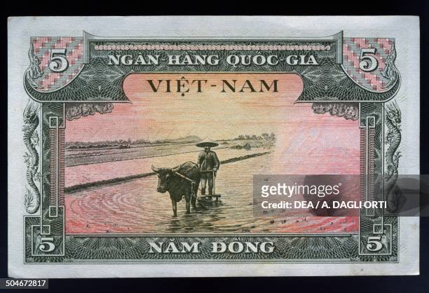 Dong banknote reverse, plow pulled by buffalo in a rice paddy. South Vietnam, 20th century.