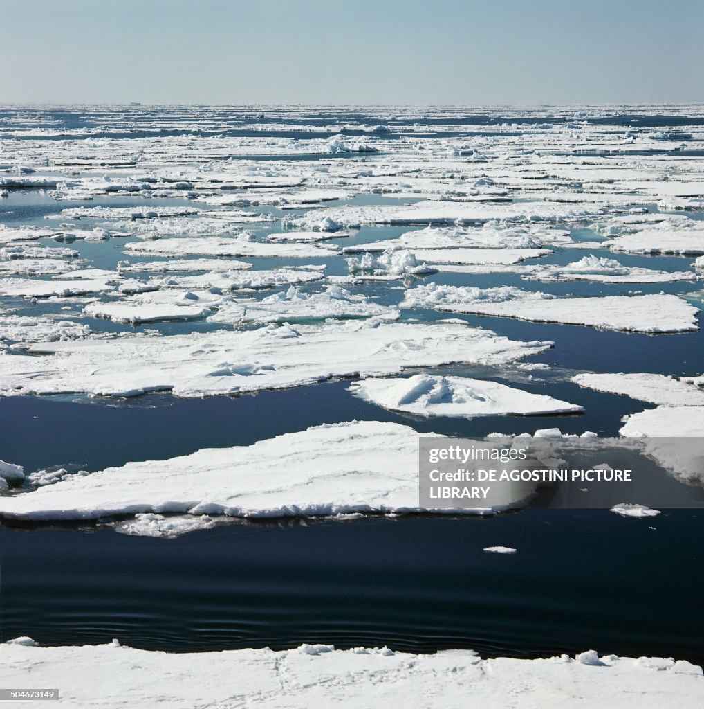 Ice floes floating on water...