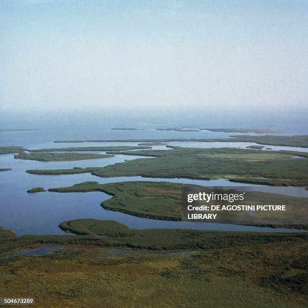 Aerial view of Lake Chad, Chad.