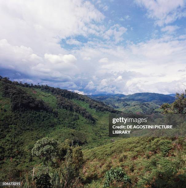 Congo Raptor Geography Of The Republic Of The Congo Photos and Premium High Res ...