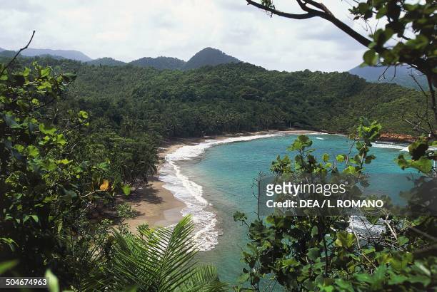 Hampstead Beach and rainforest, Dominica.