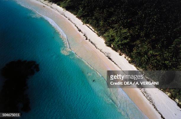 Aerial view of a beach, Harbour Island, Eleuthera, The Bahamas.