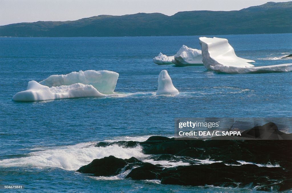 Iceberg, Newman's Cove