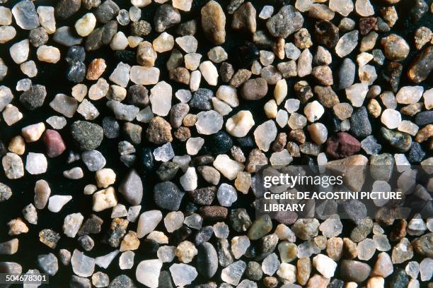 Sand grains composed by calcite, quartz and feldspar.