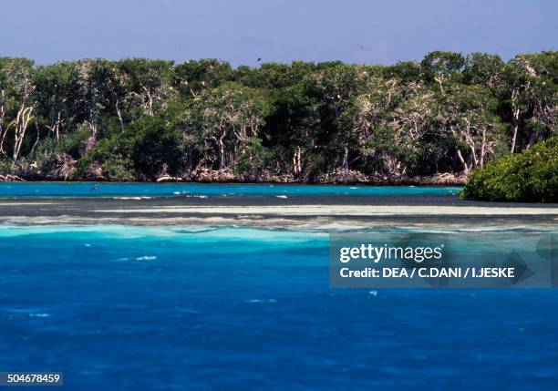 Las Aves Archipelago Photos and Premium High Res Pictures Getty Images