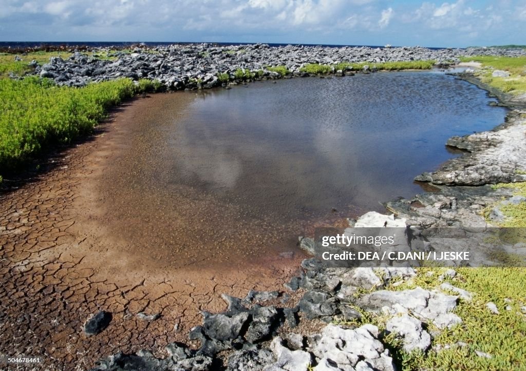 Pool of water...