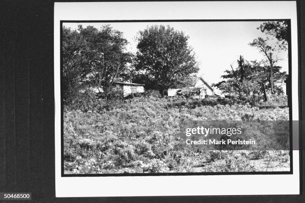 Overview of unkempt field w. Run-down cabins, an area where Anita Hill who claimed that Supreme Court Justice Clarence Thomas sexually harassed her,...