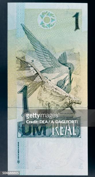 Real banknote reverse, Sapphire-spangled Emerald feeding its chicks in the nest. Brazil, 20th century.