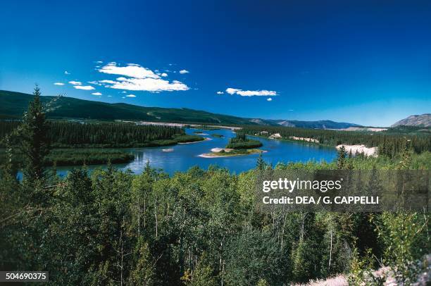 The Yukon River between Whitehorse and Dawson City, Klondike, Alaska, United States of America.