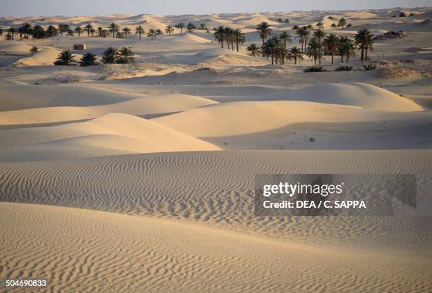 28 Still El Oued Stock Photos High Res Pictures And Images Getty Images 28-still-el-oued-stock-photos-high-res-pictures-and-images-getty-images