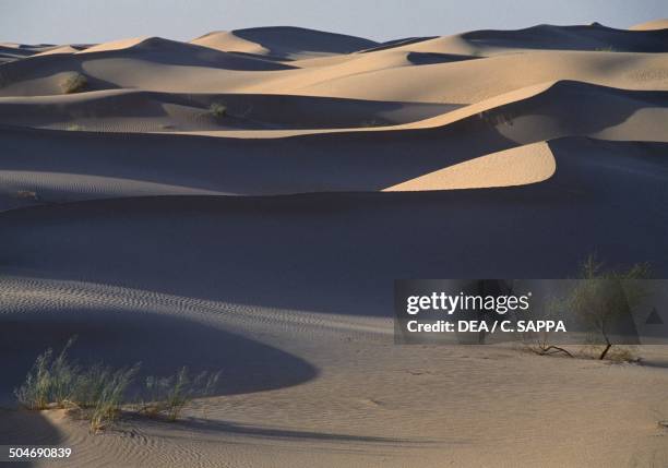 28 Still El Oued Stock Photos, HighRes Pictures, and Images Getty Images