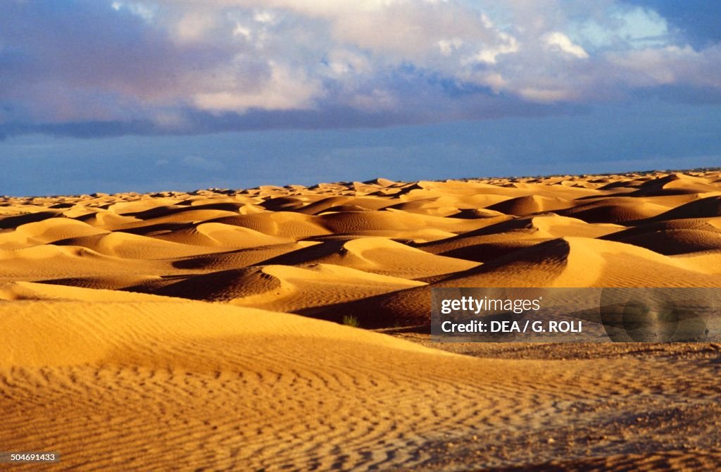 Sand dunes near Douz...