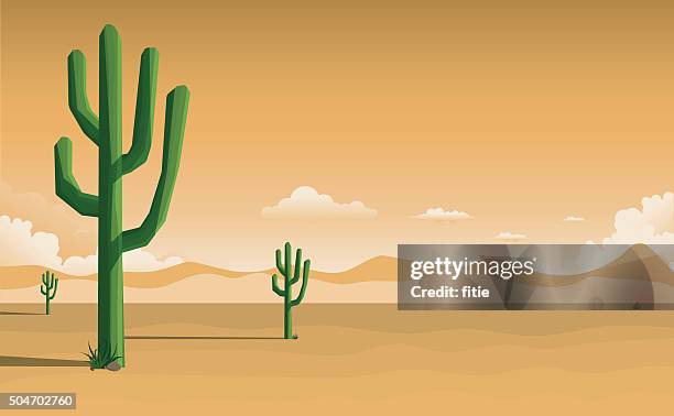 desert landscape - cactus desert stock illustrations