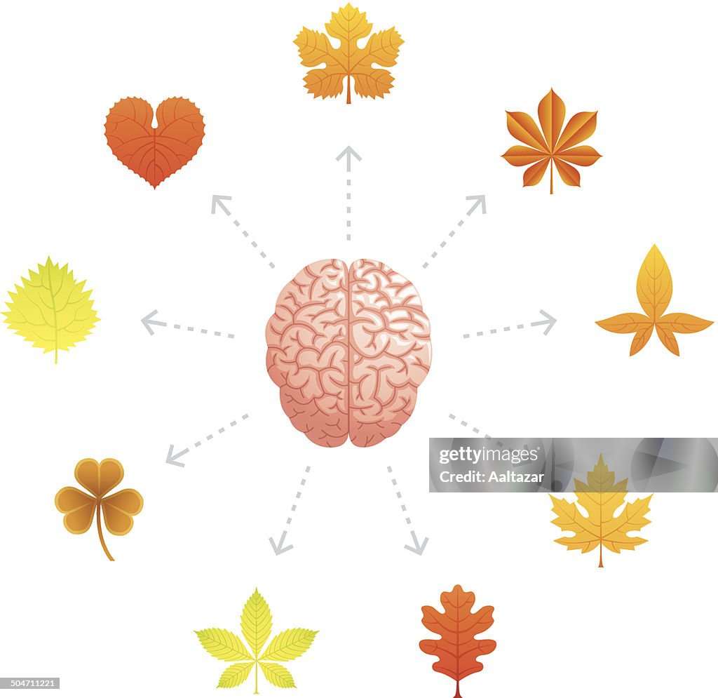 Thinking About Autumn