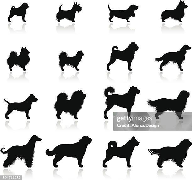 ilustraciones, imágenes clip art, dibujos animados e iconos de stock de icono conjunto de perros - basset hound