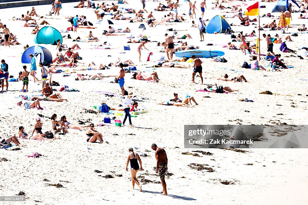 Temperatures Keep Rising As Sydney Heatwave Conditions Continue