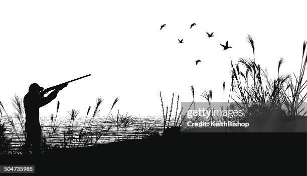 duck hunting background - target shooting stock illustrations