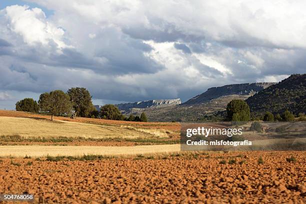 fields and mountains - covarrubias stock pictures, royalty-free photos & images