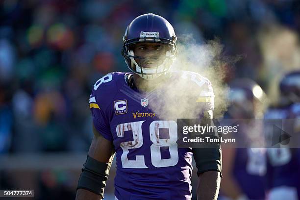 Playoffs: Closeup of Minnesota Vikings Adrian Peterson during game vs Seattle Seahawks at US Bank Stadium. Minneapolis, MN 1/10/2016 CREDIT: Tom Lynn