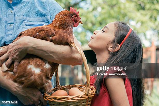 plus des œufs pour demain - la belle poule photos et images de collection