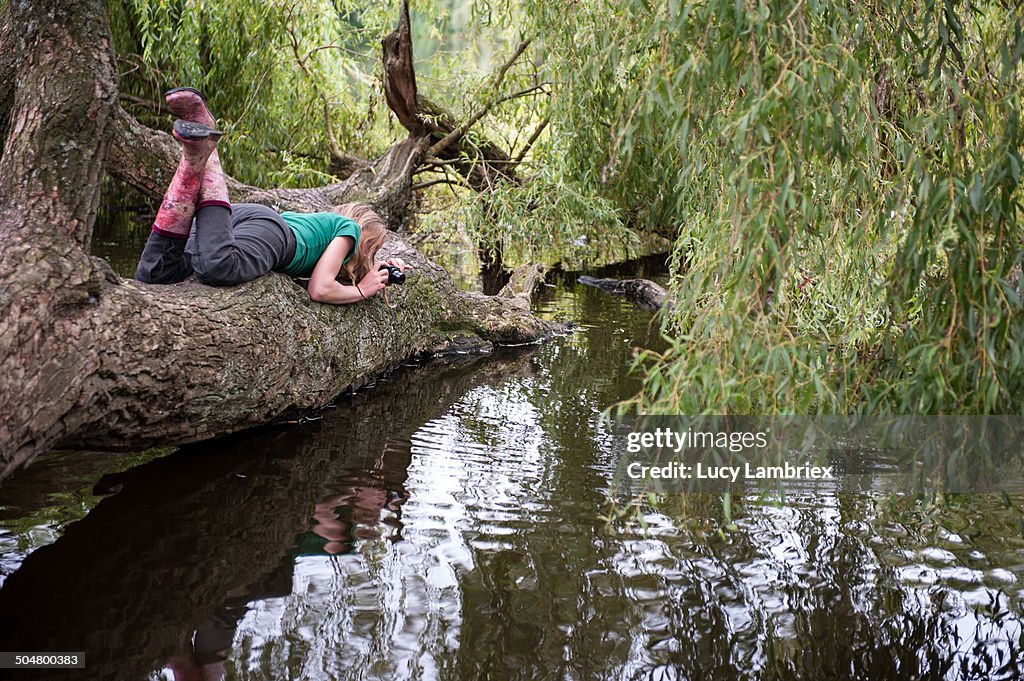 Young woman in fallen tree, taking photos