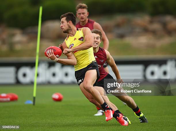 Jackson Merrett 139 Jackson Merrett Photos & High Res Pictures - Getty Images