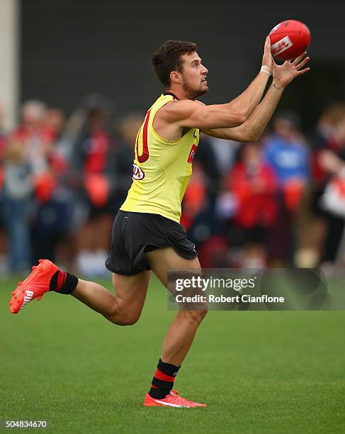Jackson Merrett 139 Jackson Merrett Photos & High Res Pictures - Getty Images