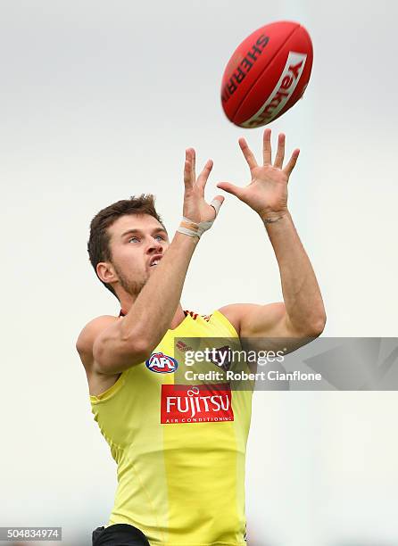 Jackson Merrett 139 Jackson Merrett Photos & High Res Pictures - Getty Images